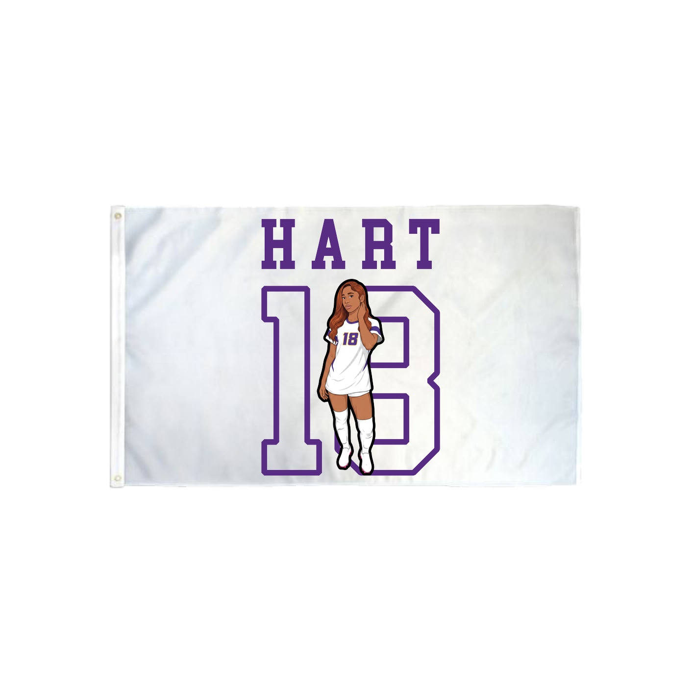 3x5 Flag — Shirsey in Classic