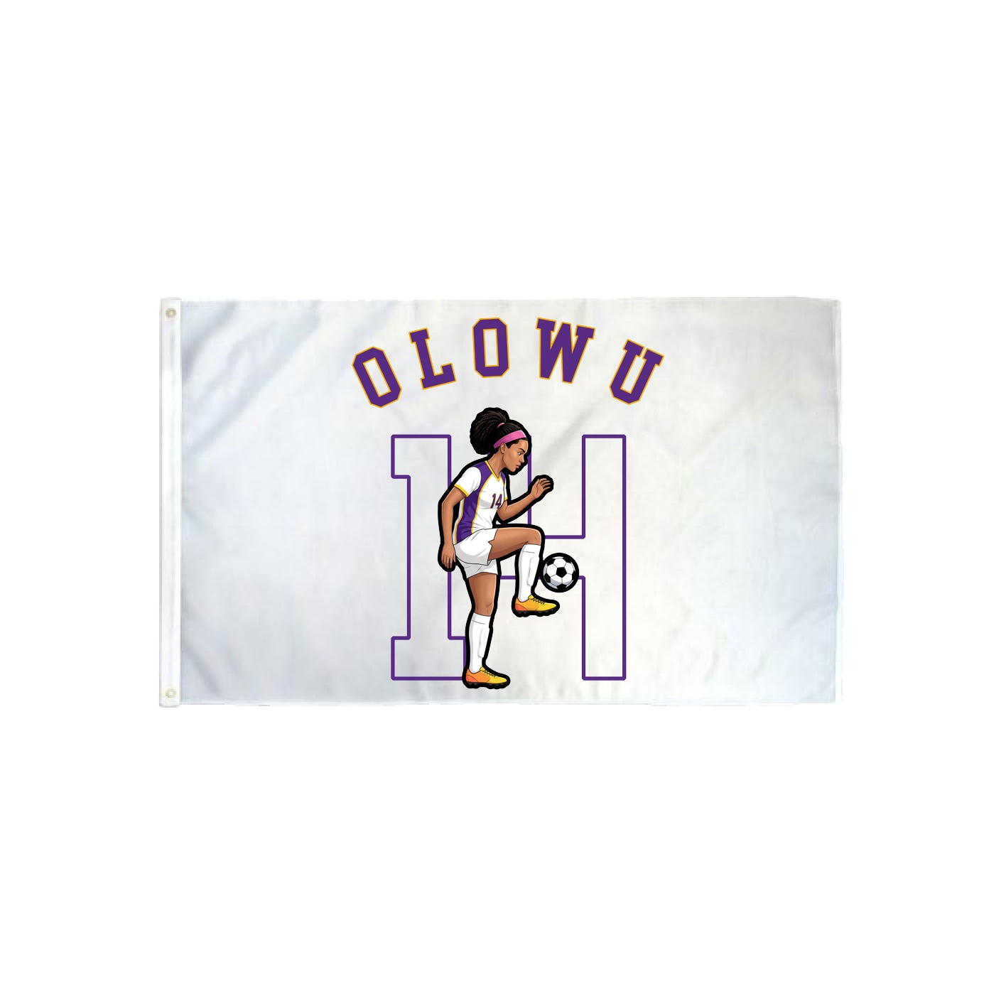 3x5 Flag — Shirsey Arch in Classic
