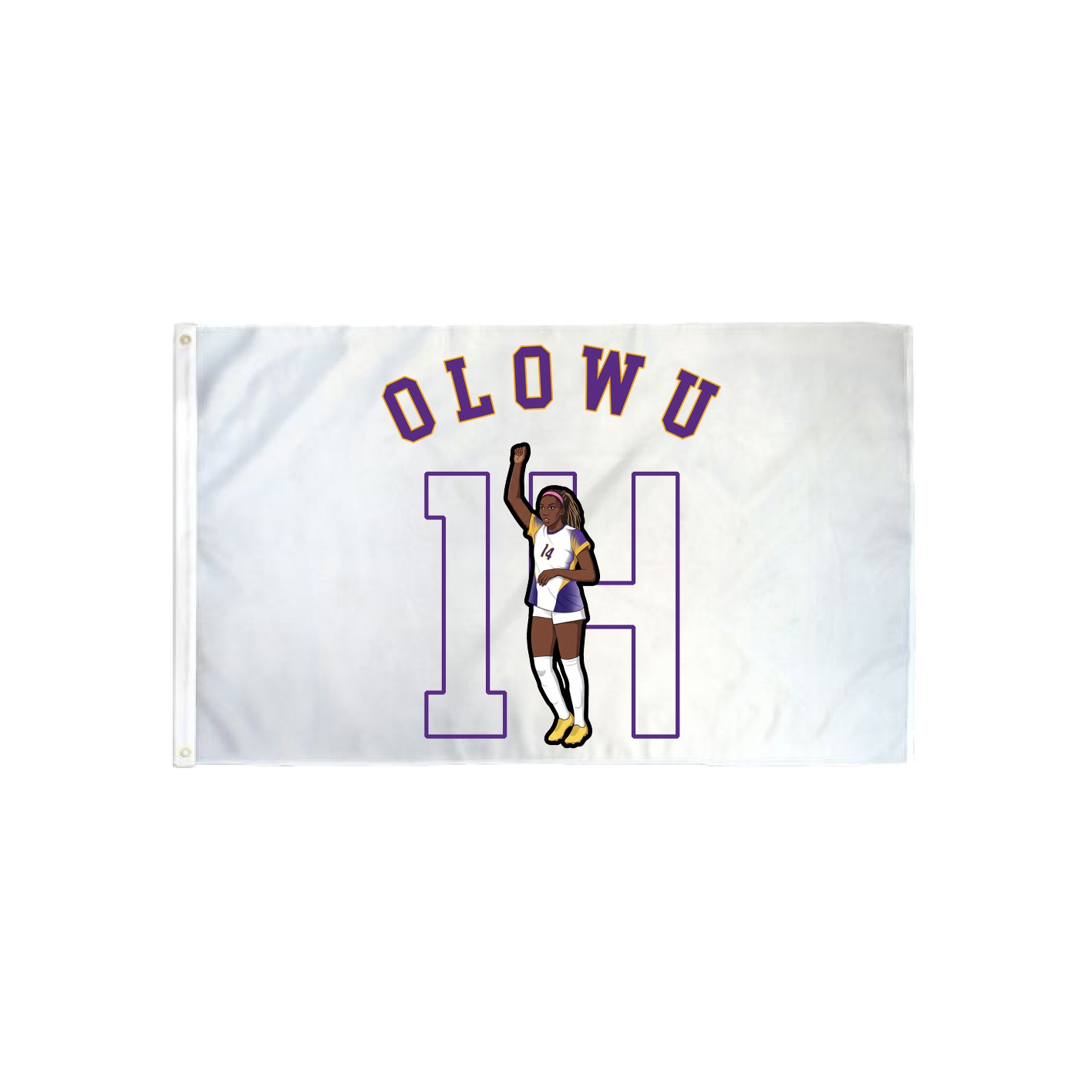 3x5 Flag — Shirsey Arch in Classic