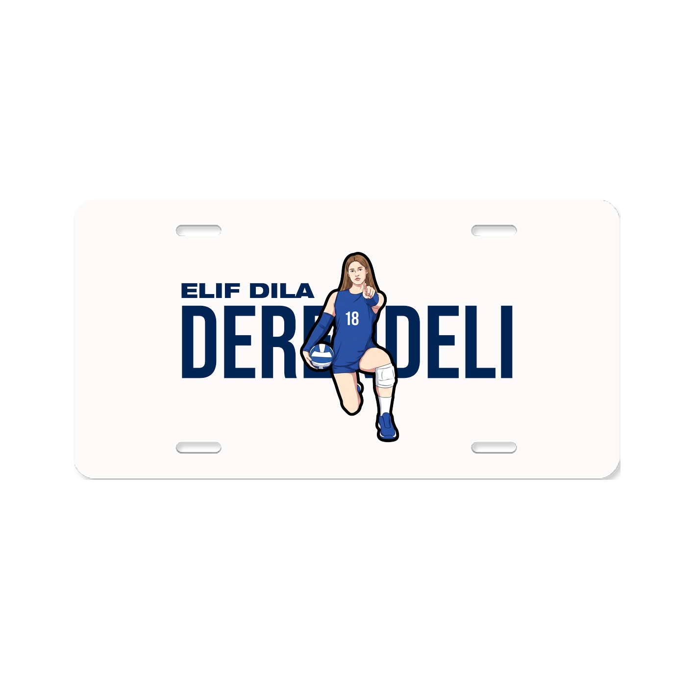 License Plate