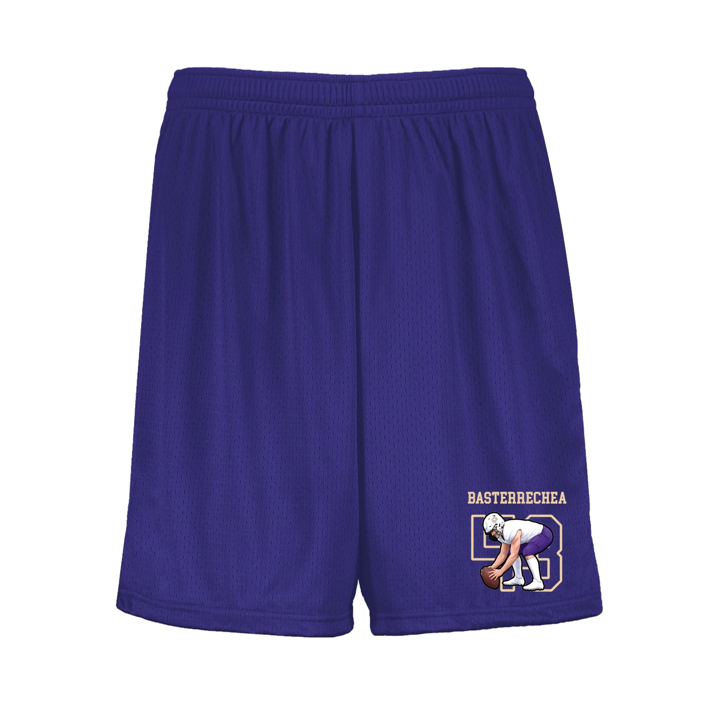 Shorts — Shirsey in Purple