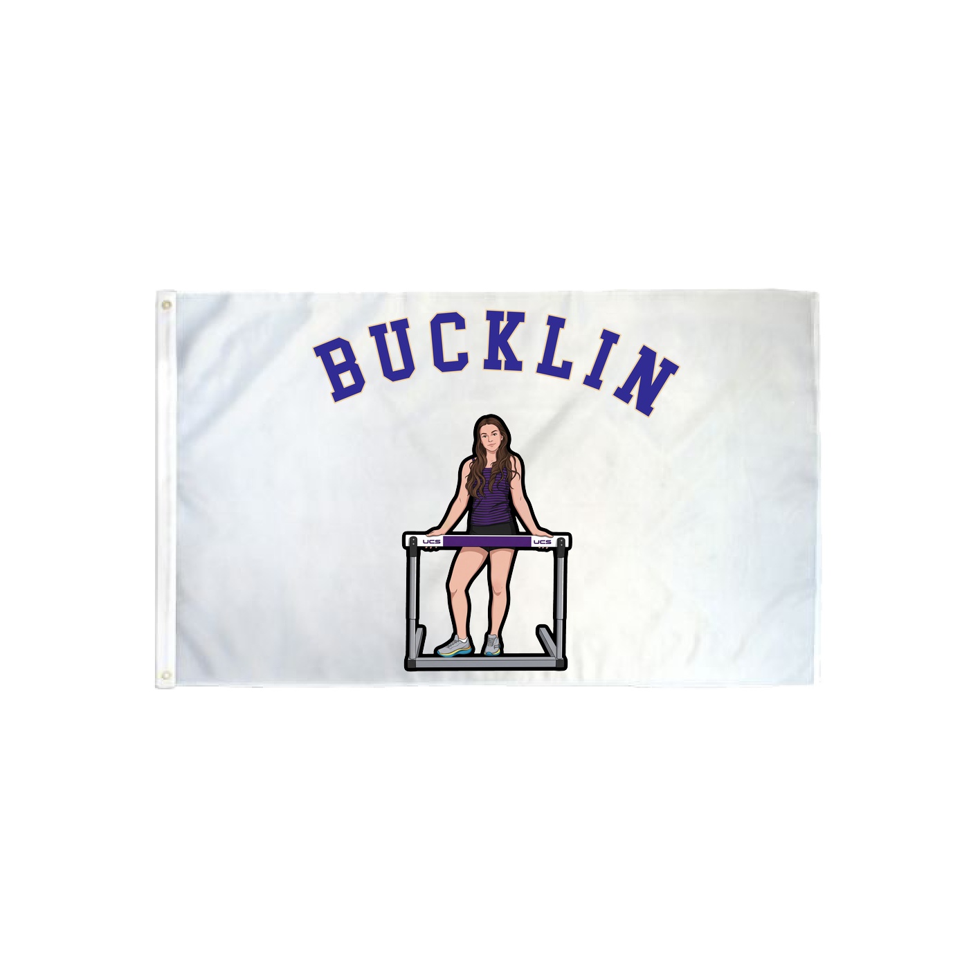 3x5 Flag — Shirsey Arch in Classic