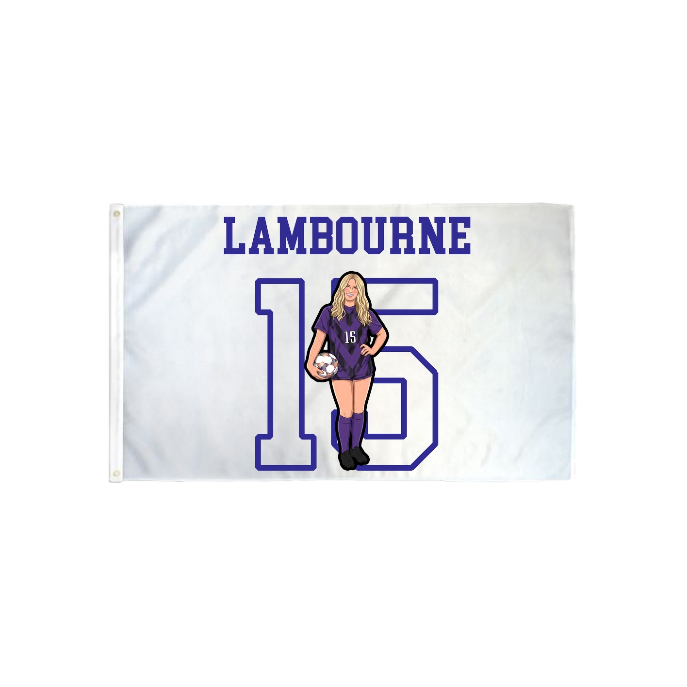 3x5 Flag — Shirsey in Classic