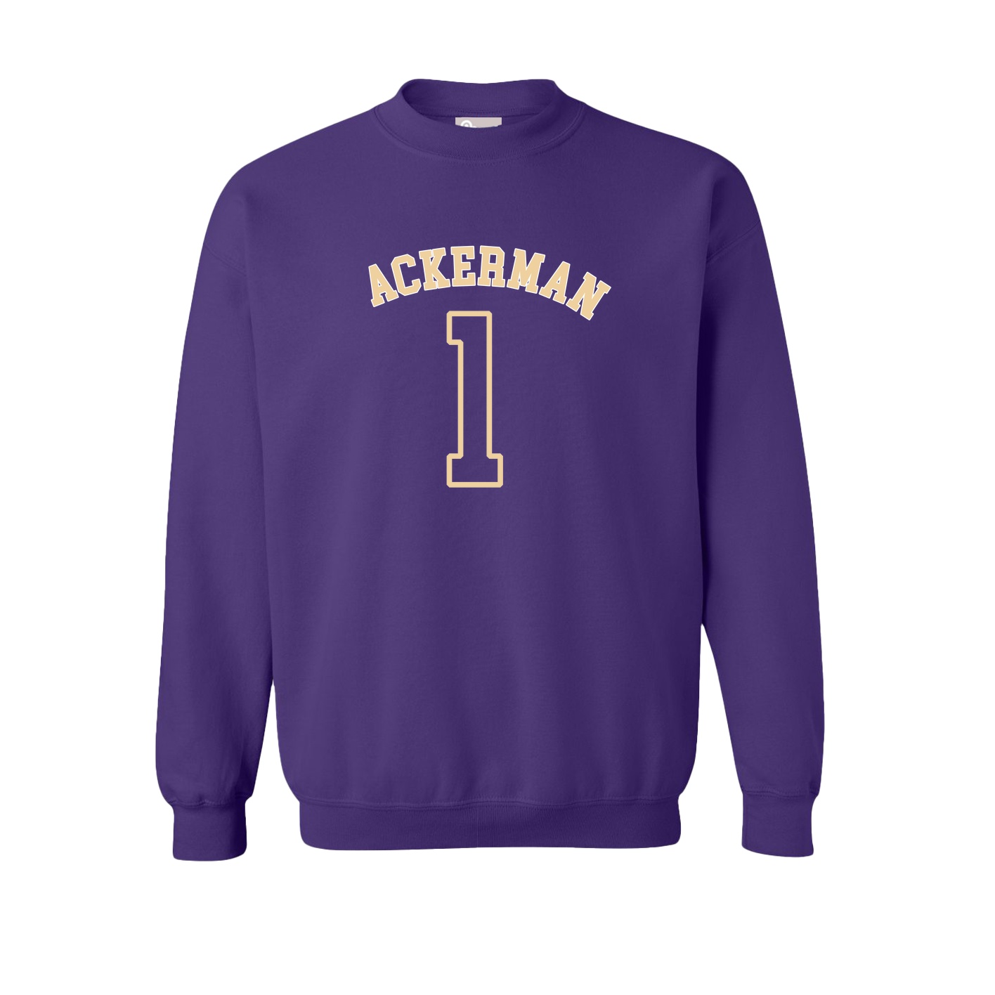 Fleece Crew — Shirsey Arch in Purple