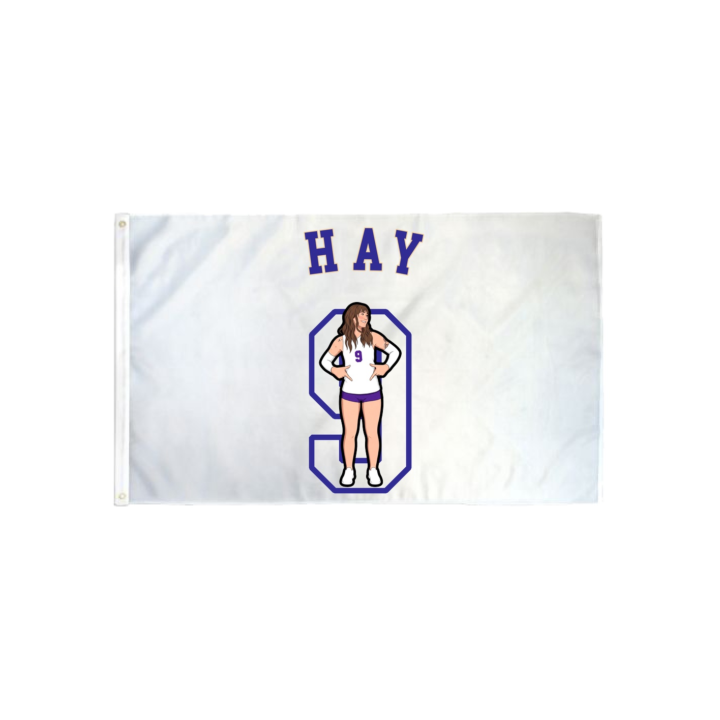 3x5 Flag — Shirsey Arch in Classic