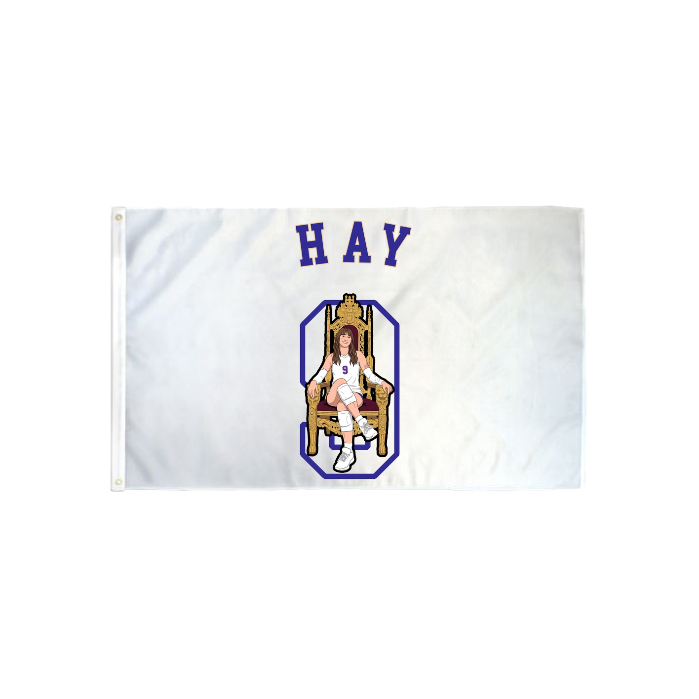 3x5 Flag — Shirsey Arch in Classic