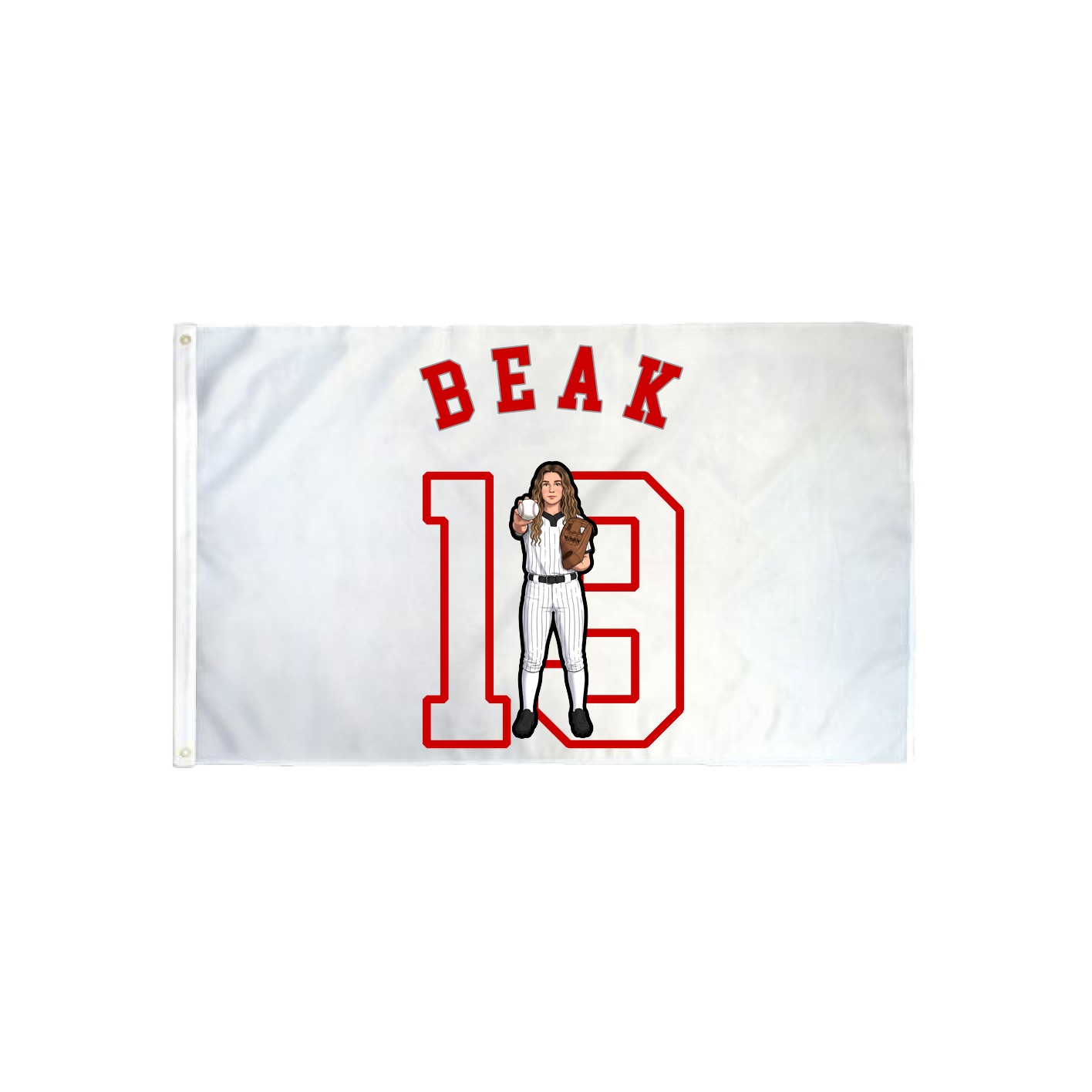 3x5 Flag — Shirsey Arch in Classic