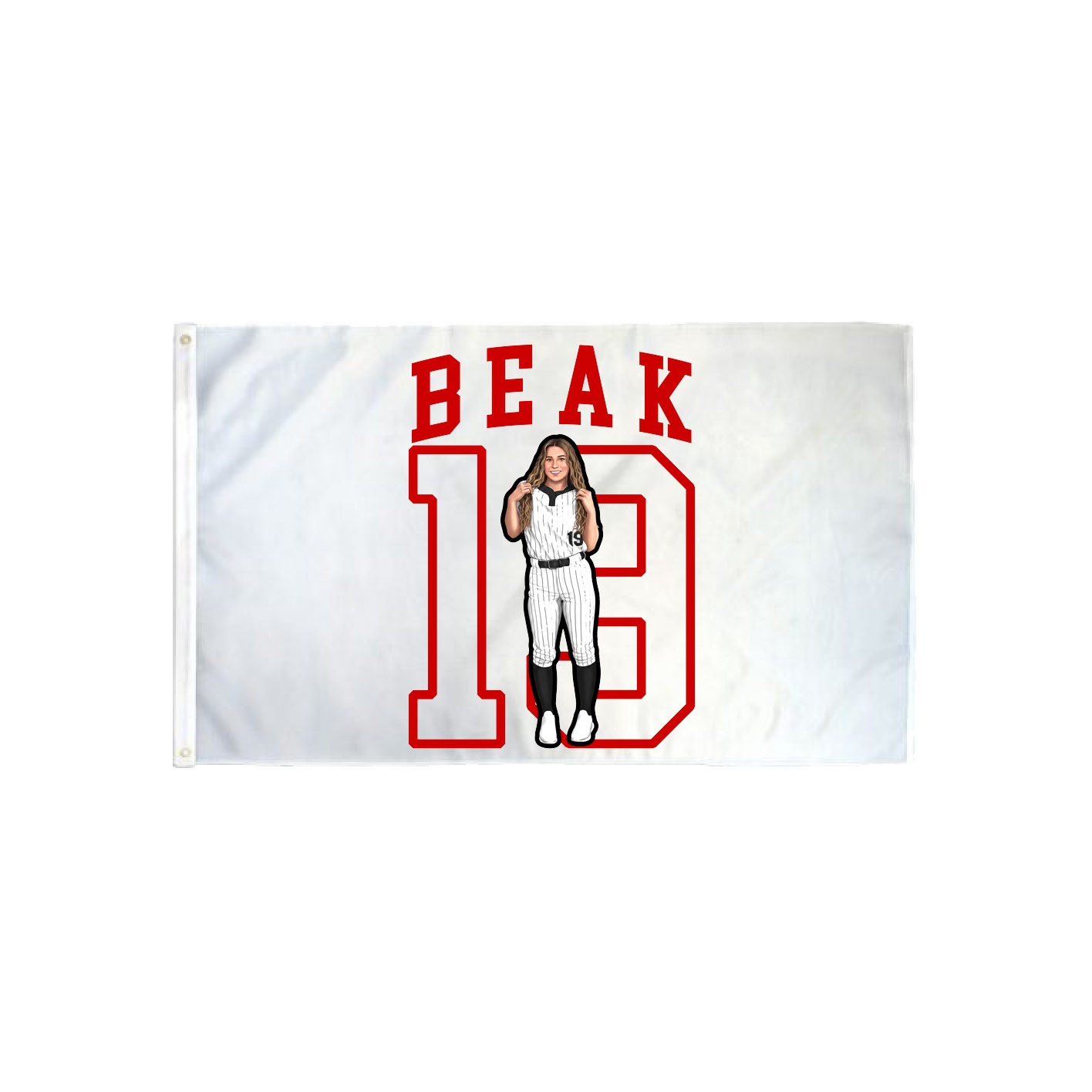 3x5 Flag — Shirsey in Classic