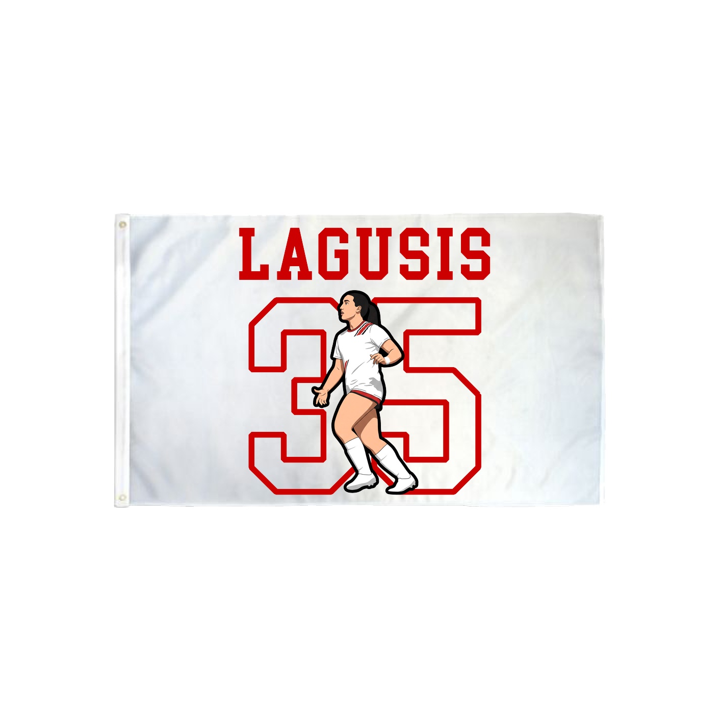 3x5 Flag — Shirsey in Classic