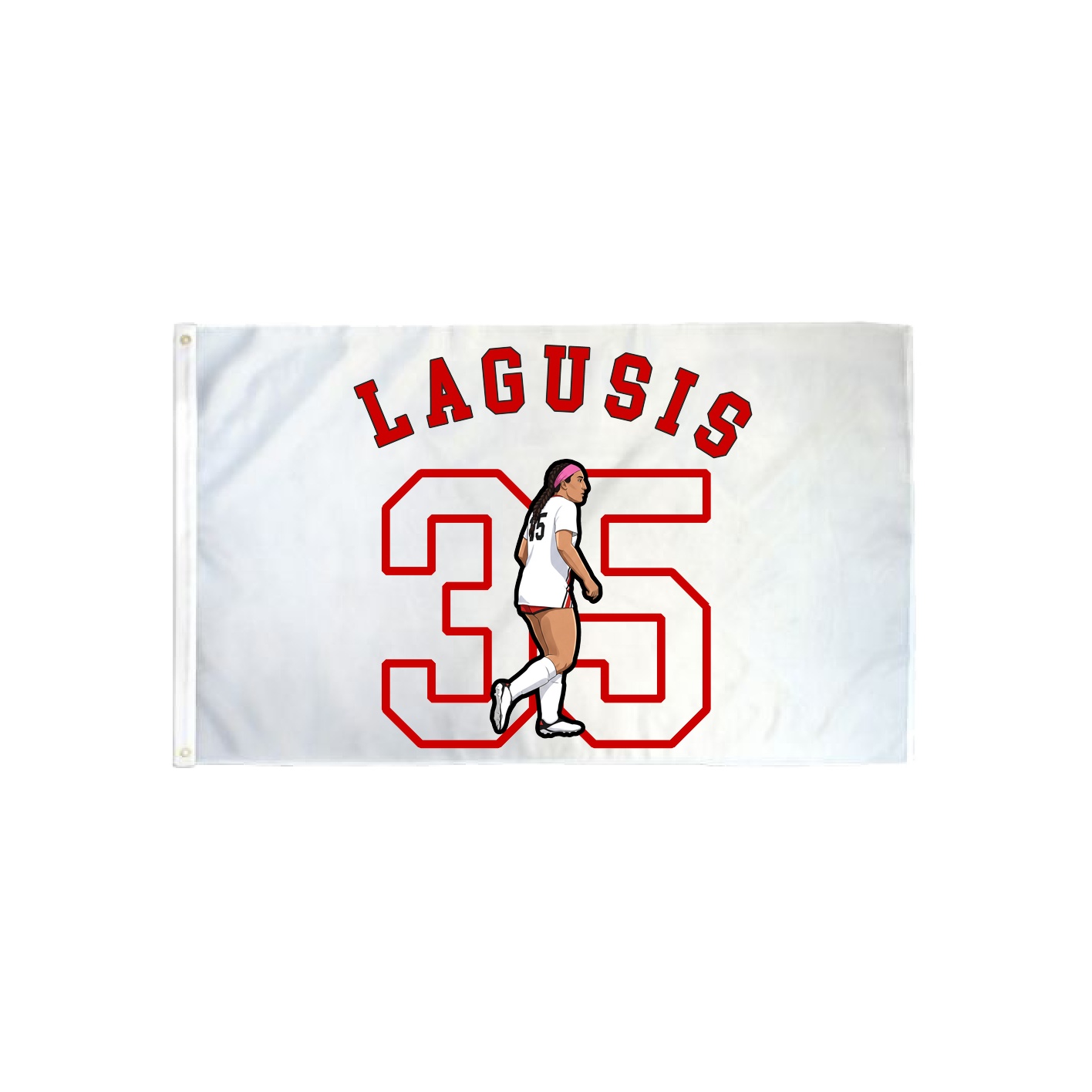 3x5 Flag — Shirsey Arch in Classic