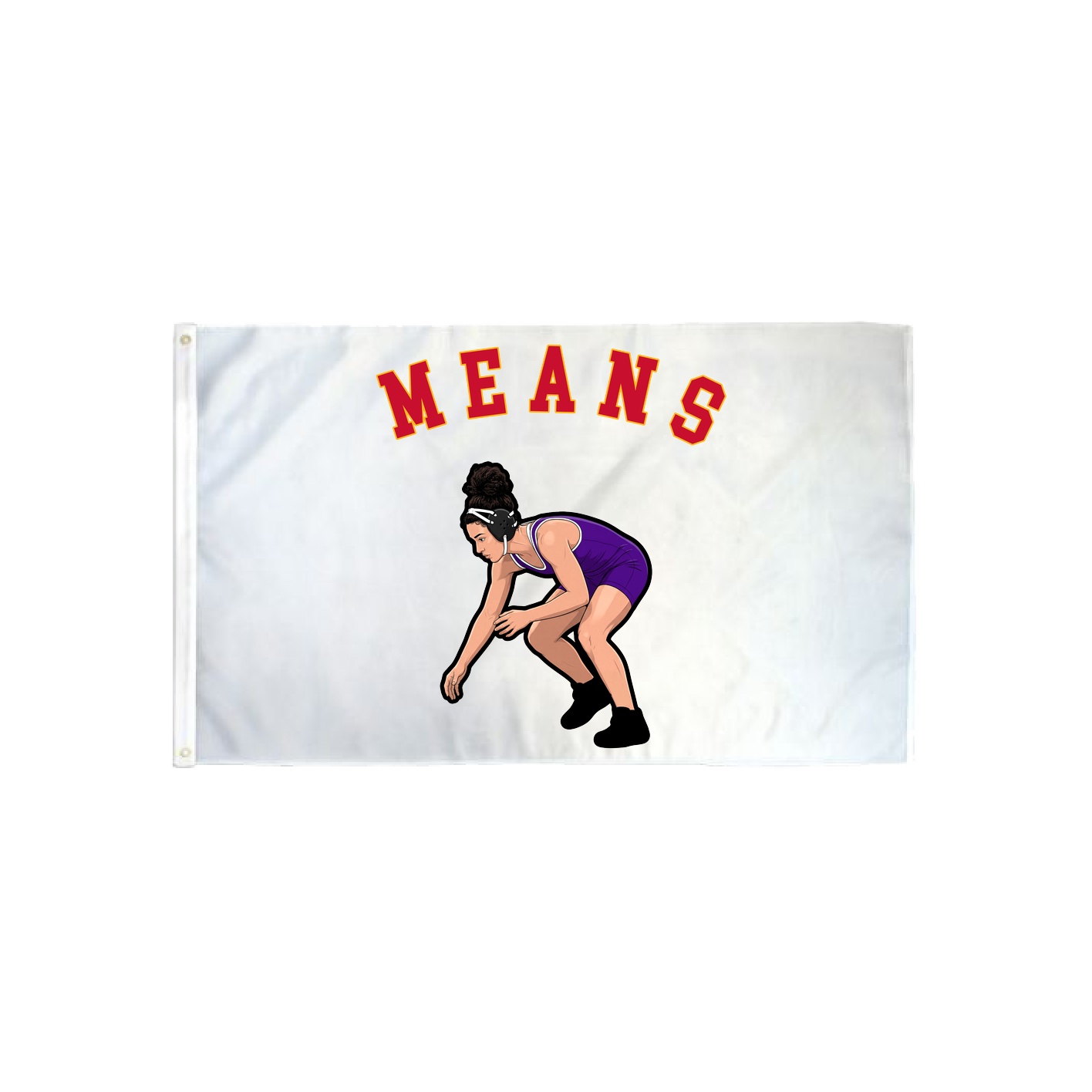 3x5 Flag — Shirsey Arch in Classic