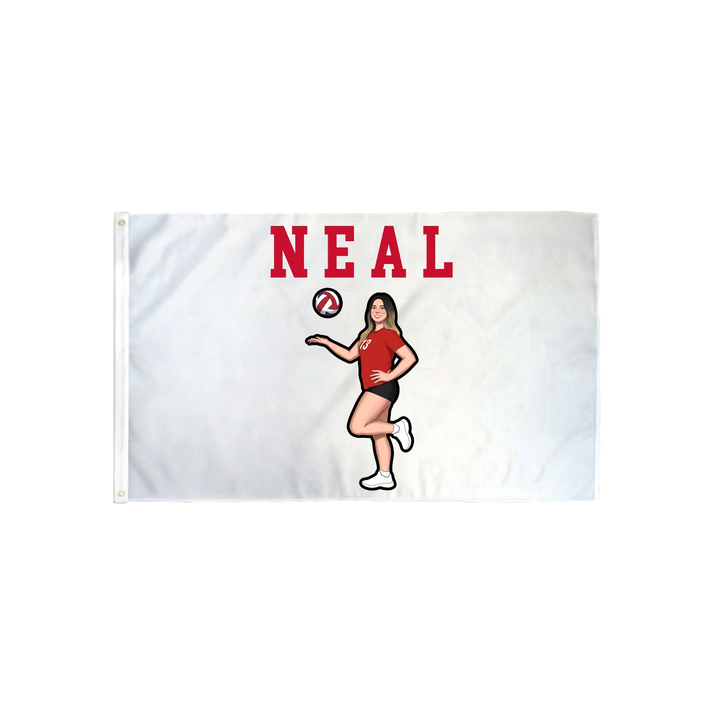 3x5 Flag — Shirsey in Classic
