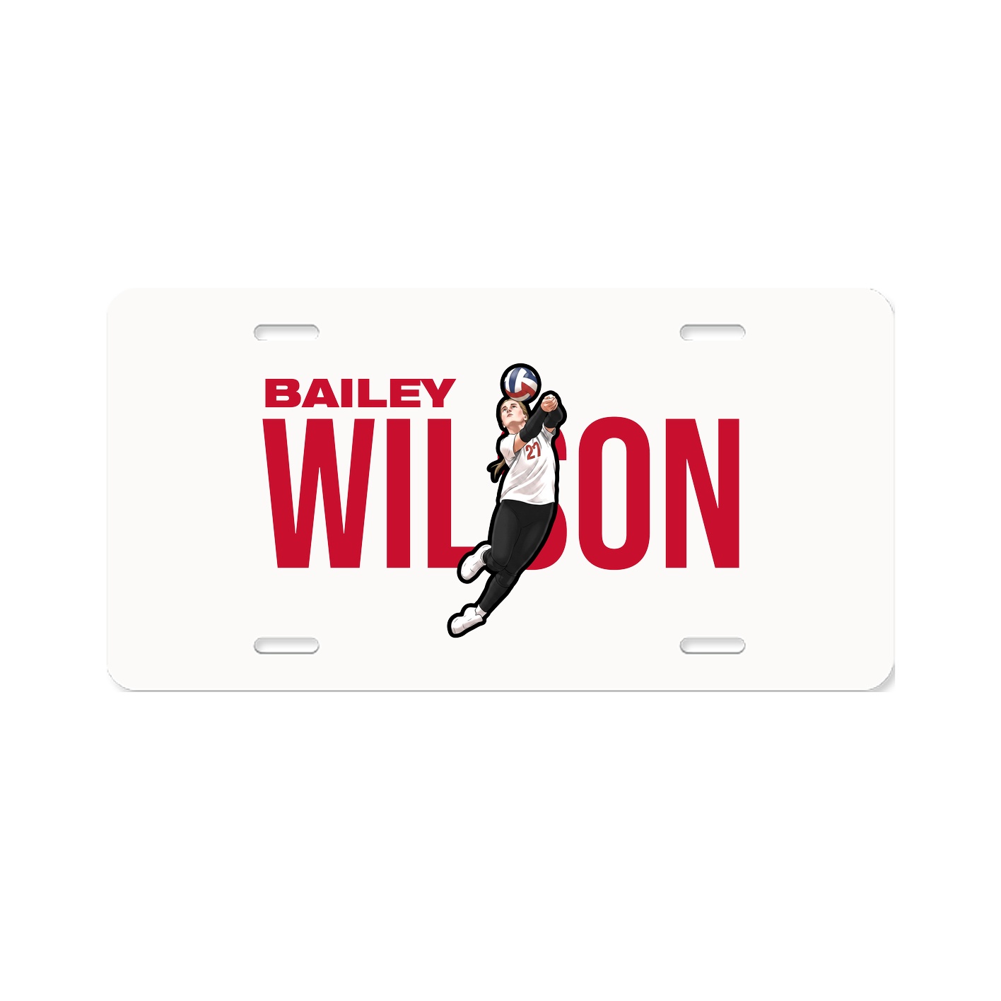 License Plate