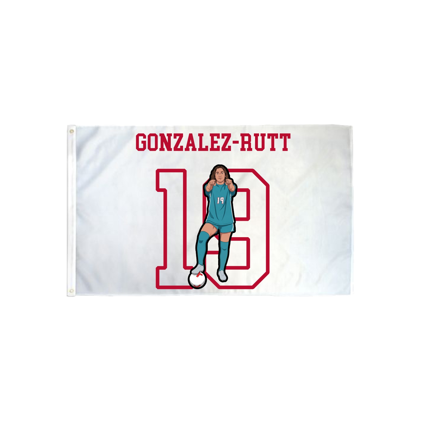 3x5 Flag — Shirsey in Classic