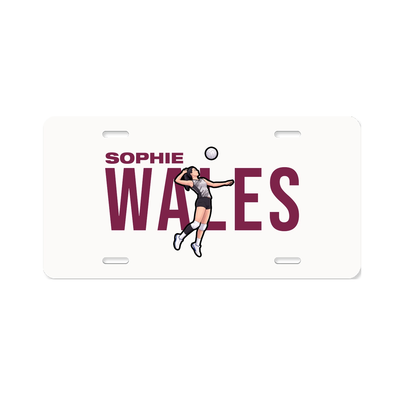 License Plate
