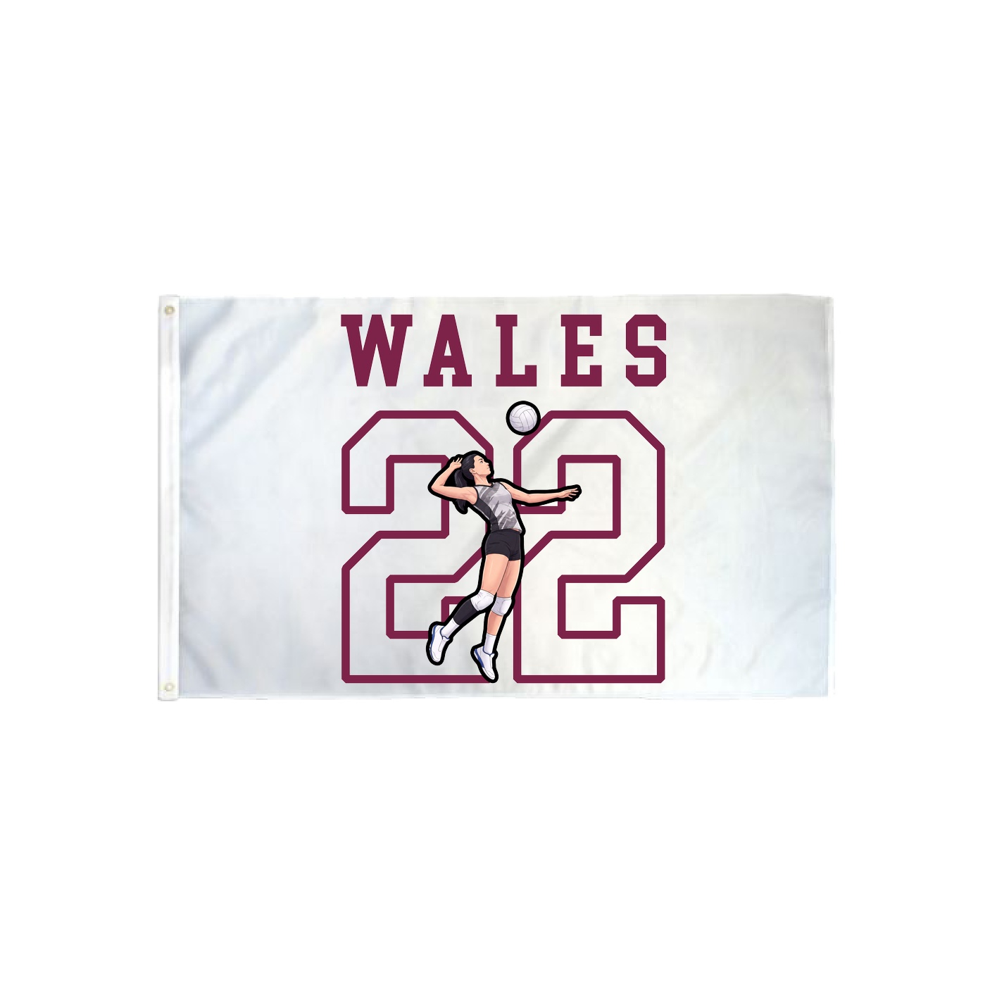 3x5 Flag — Shirsey in Classic
