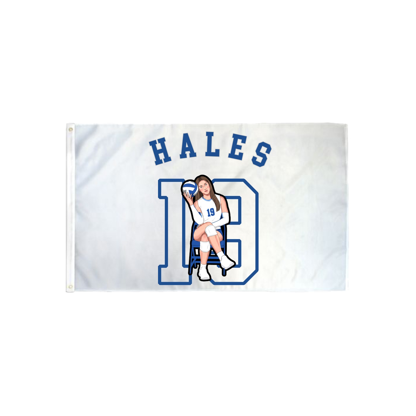 3x5 Flag — Shirsey Arch in Classic