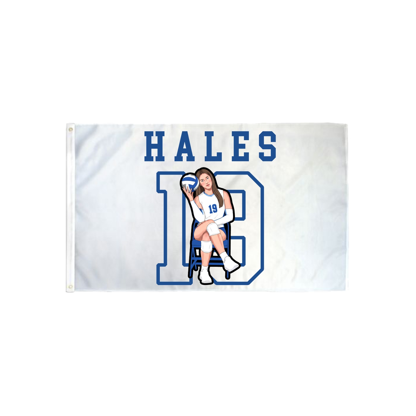 3x5 Flag — Shirsey in Classic