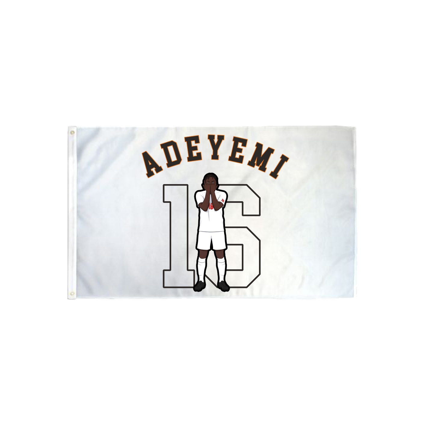 3x5 Flag
