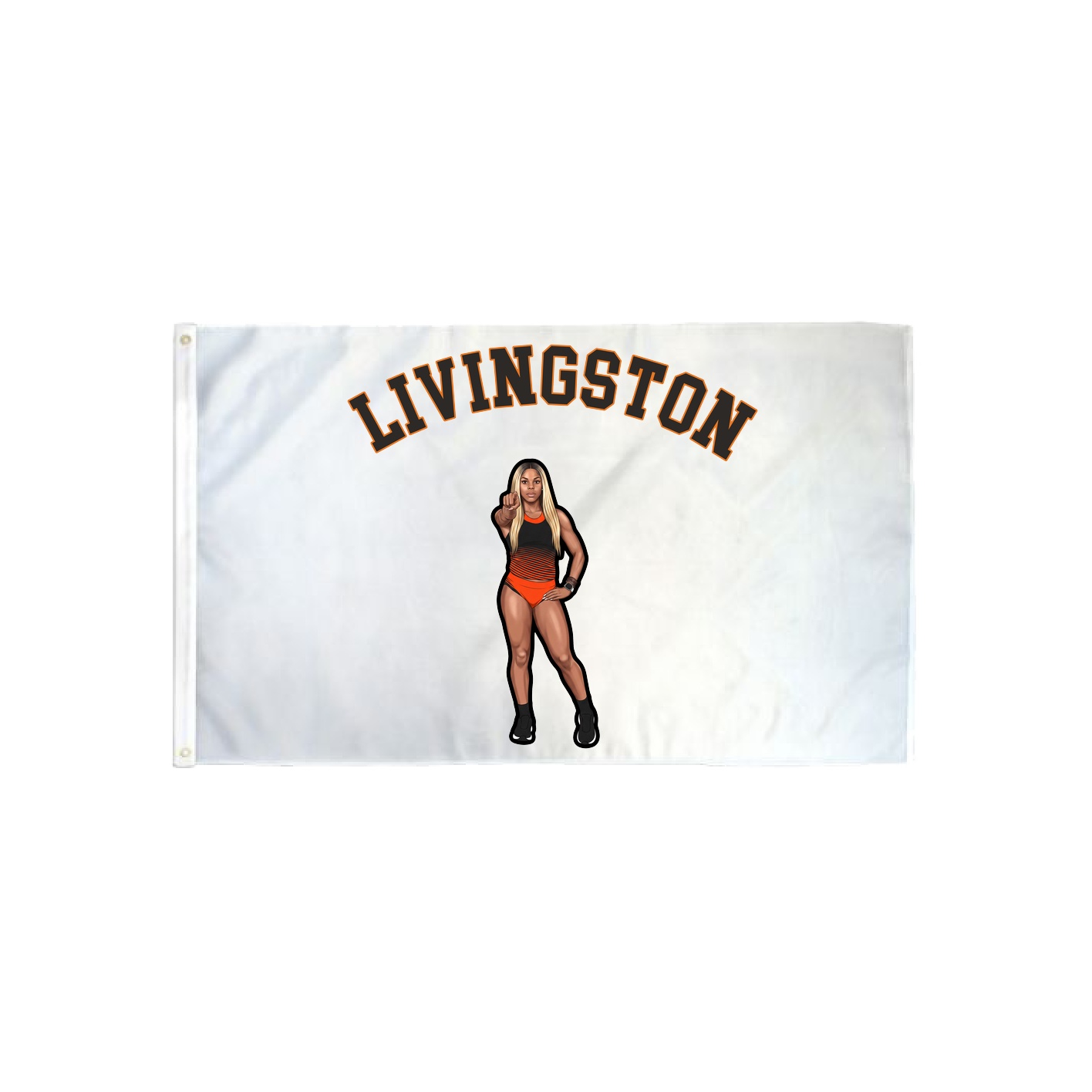 3x5 Flag — Shirsey Arch in Classic