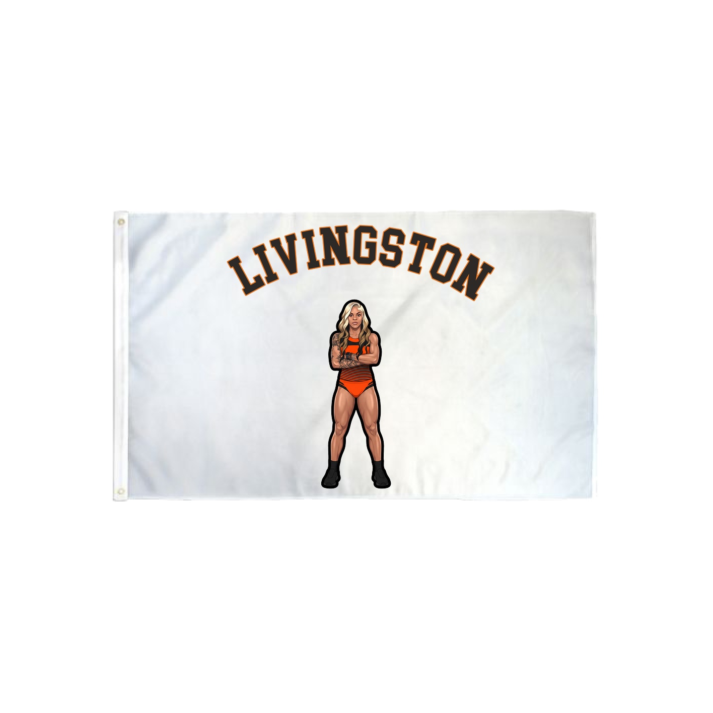3x5 Flag — Shirsey Arch in Classic