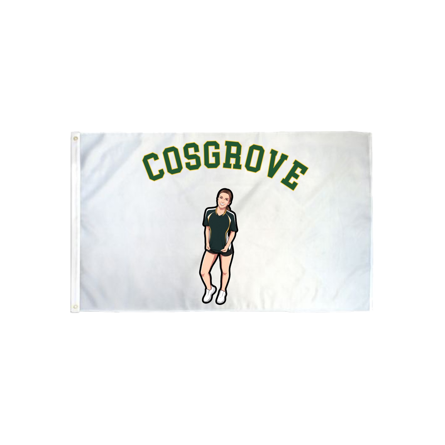 3x5 Flag — Shirsey Arch in Classic