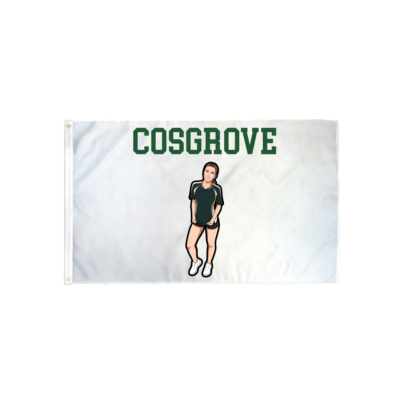 3x5 Flag — Shirsey in Classic