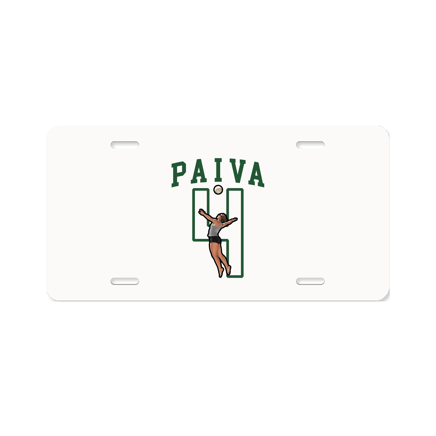 Aluminum License Plate
