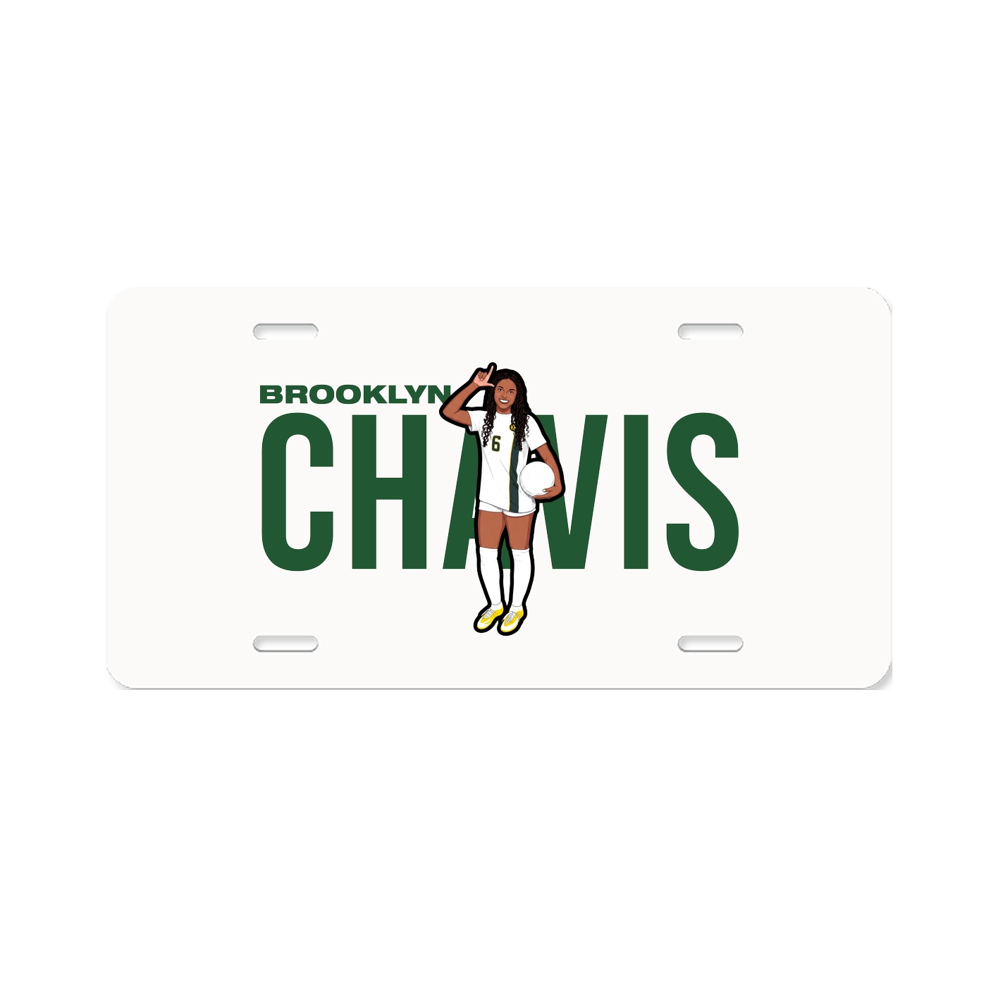 License Plate