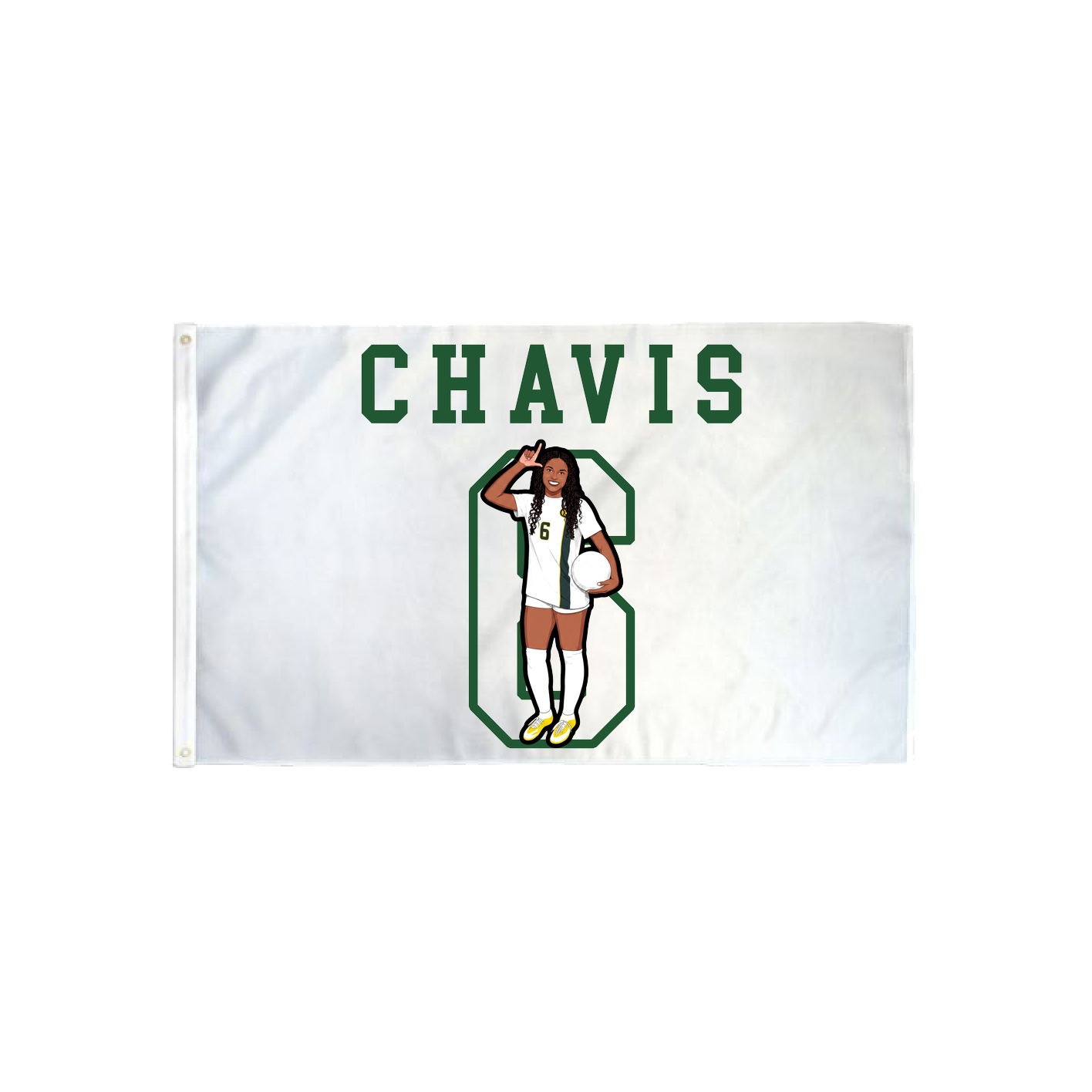 3x5 Flag — Shirsey in Classic