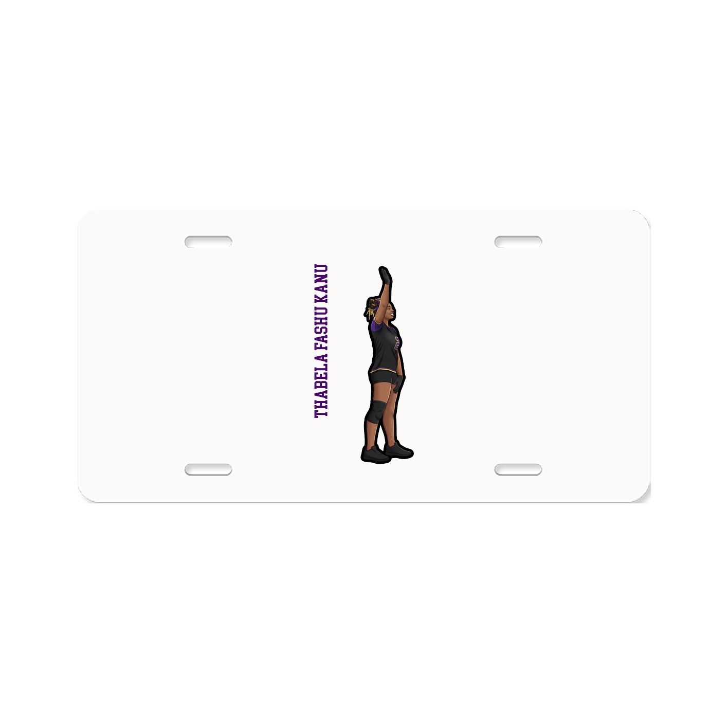 License Plate