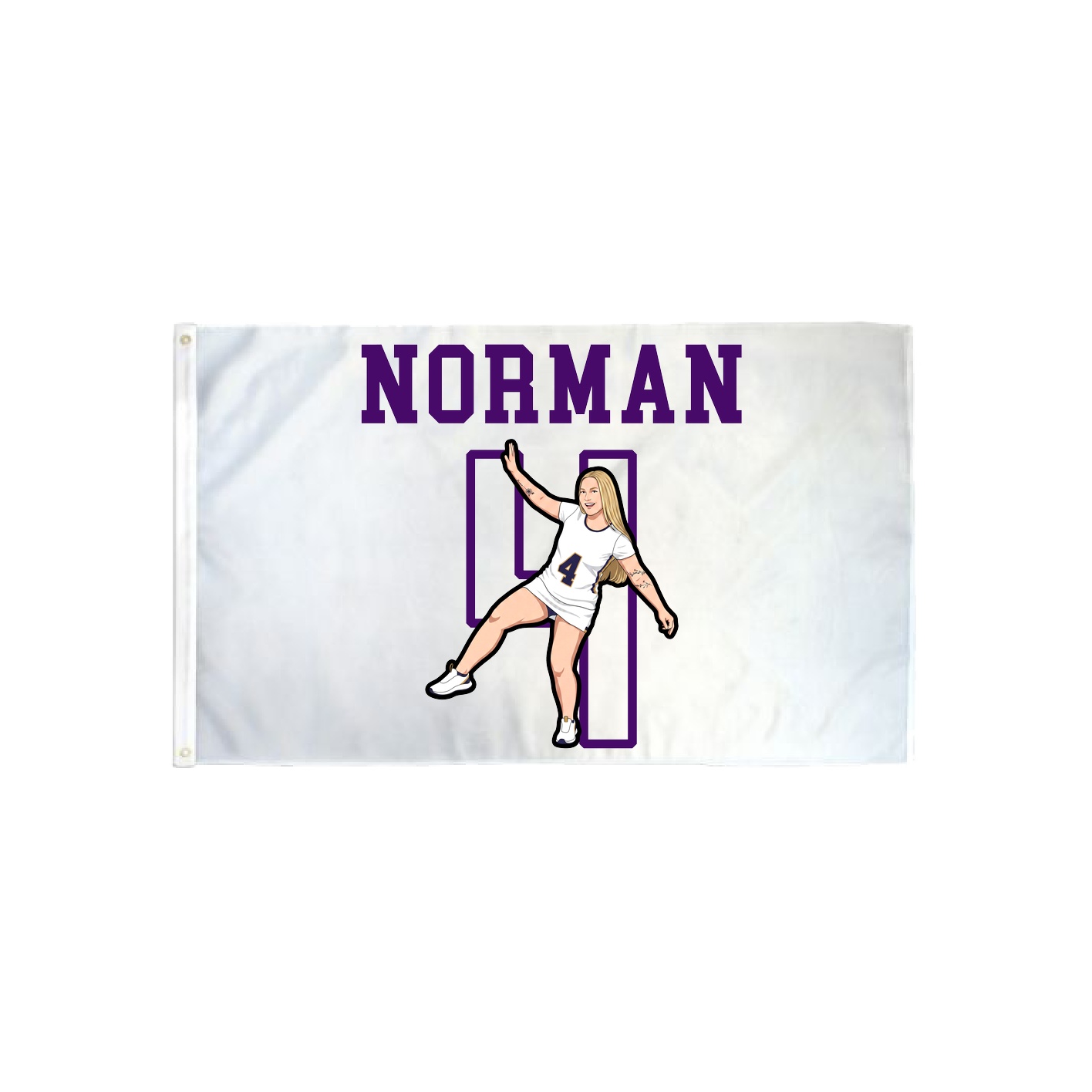 3x5 Flag — Shirsey in Classic