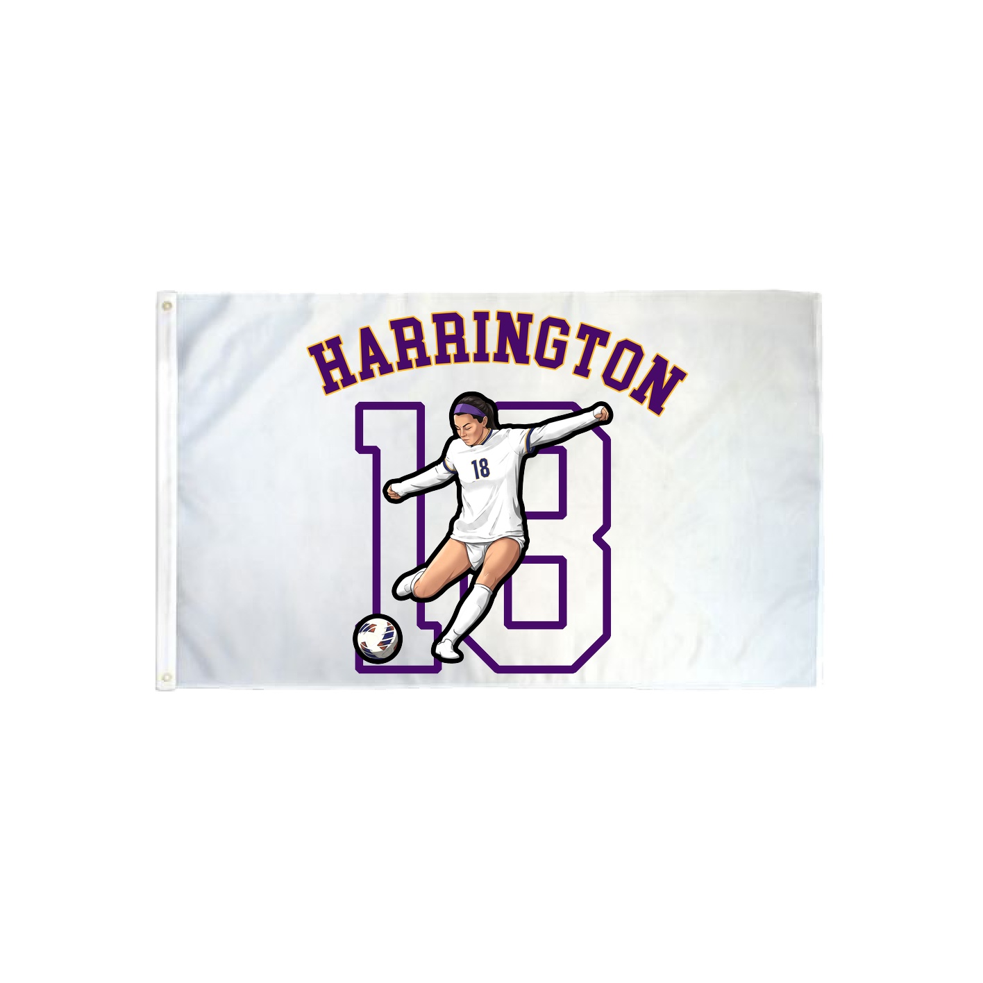 3x5 Flag — Shirsey Arch in Classic