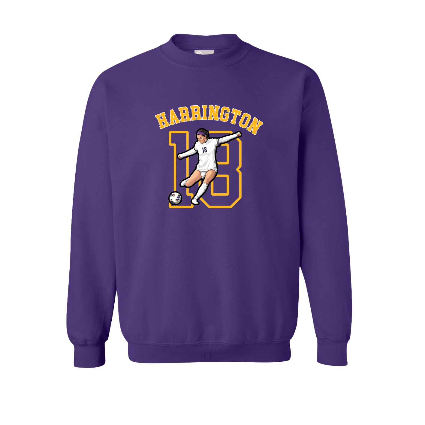 Fleece Crew — Shirsey Arch in Purple