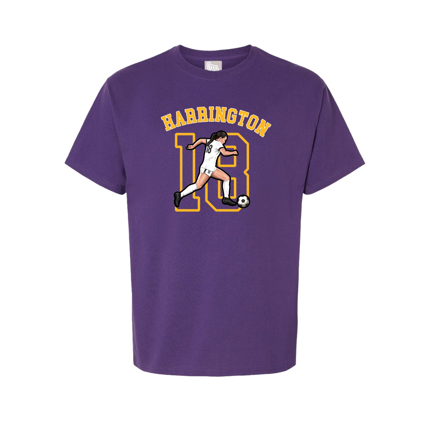 Youth Tee — Shirsey Arch in Purple