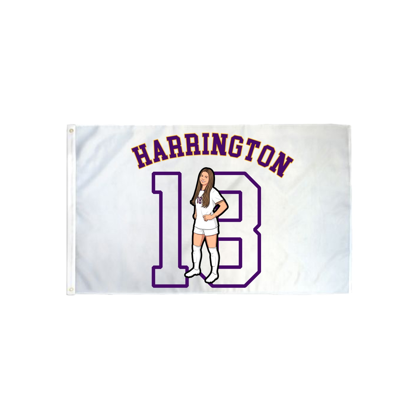 3x5 Flag — Shirsey Arch in Classic