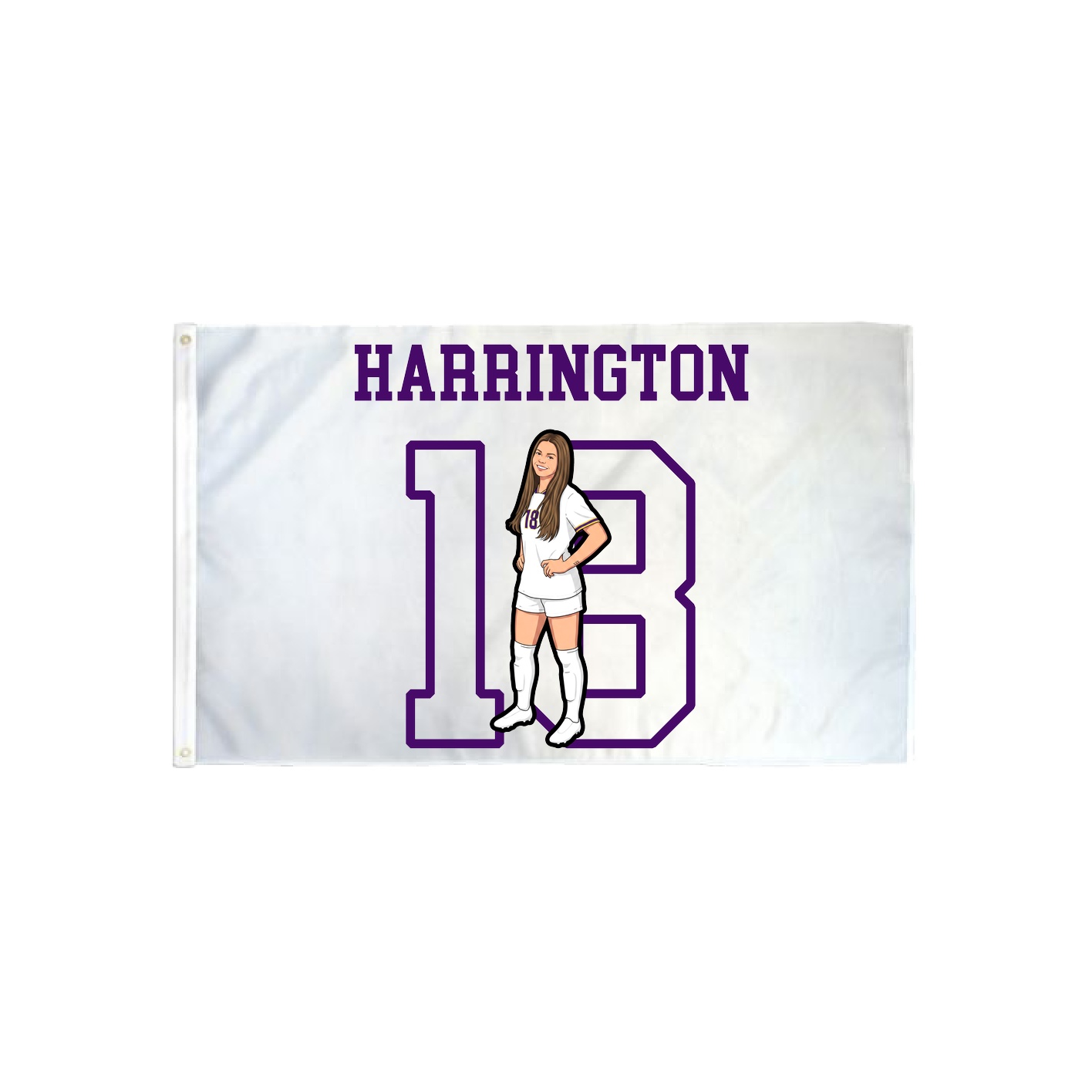 3x5 Flag — Shirsey in Classic