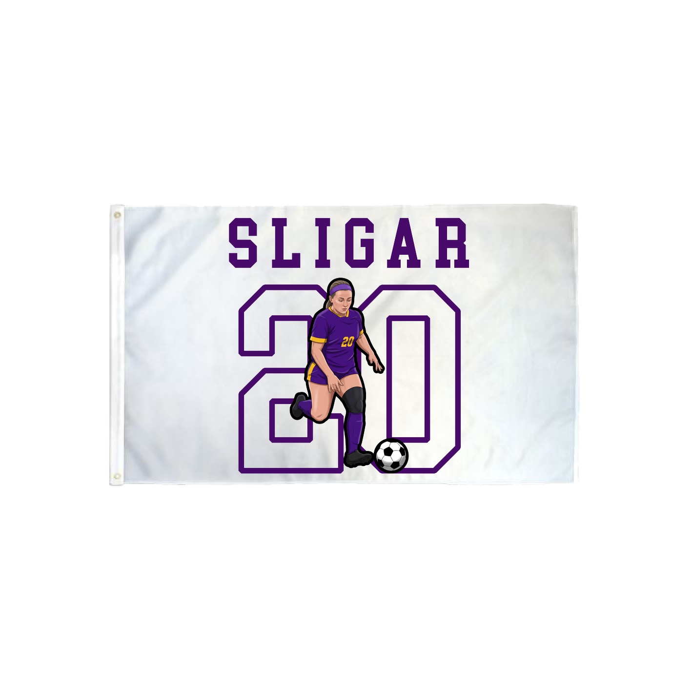 3x5 Flag — Shirsey in Classic