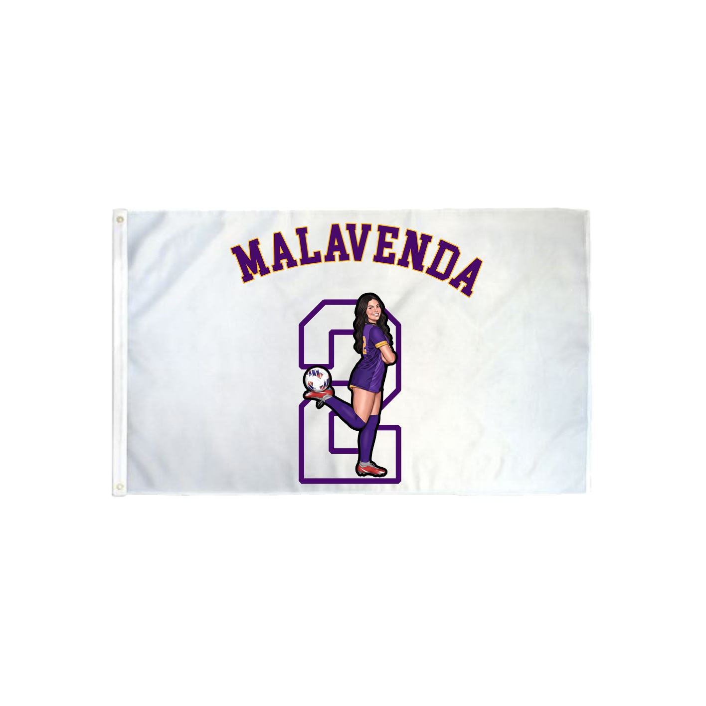 3x5 Flag — Shirsey Arch in Classic