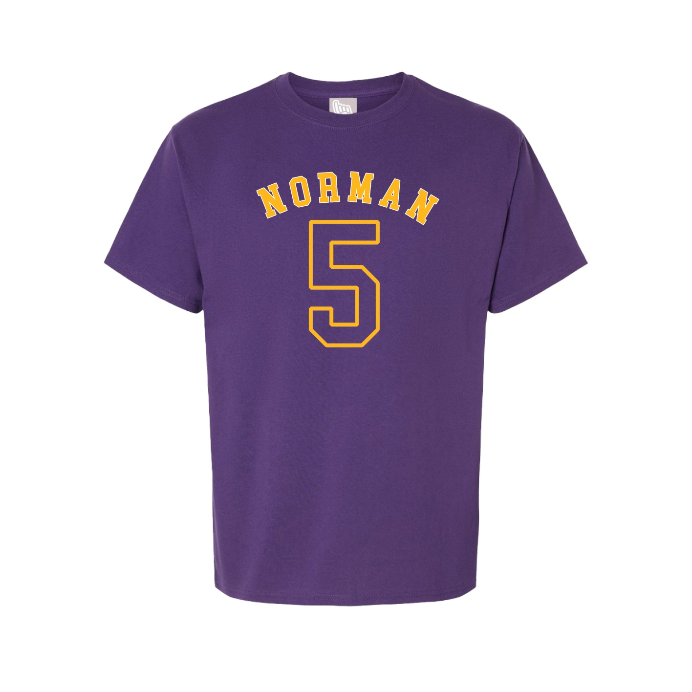 Youth Tee — Shirsey Arch in Purple