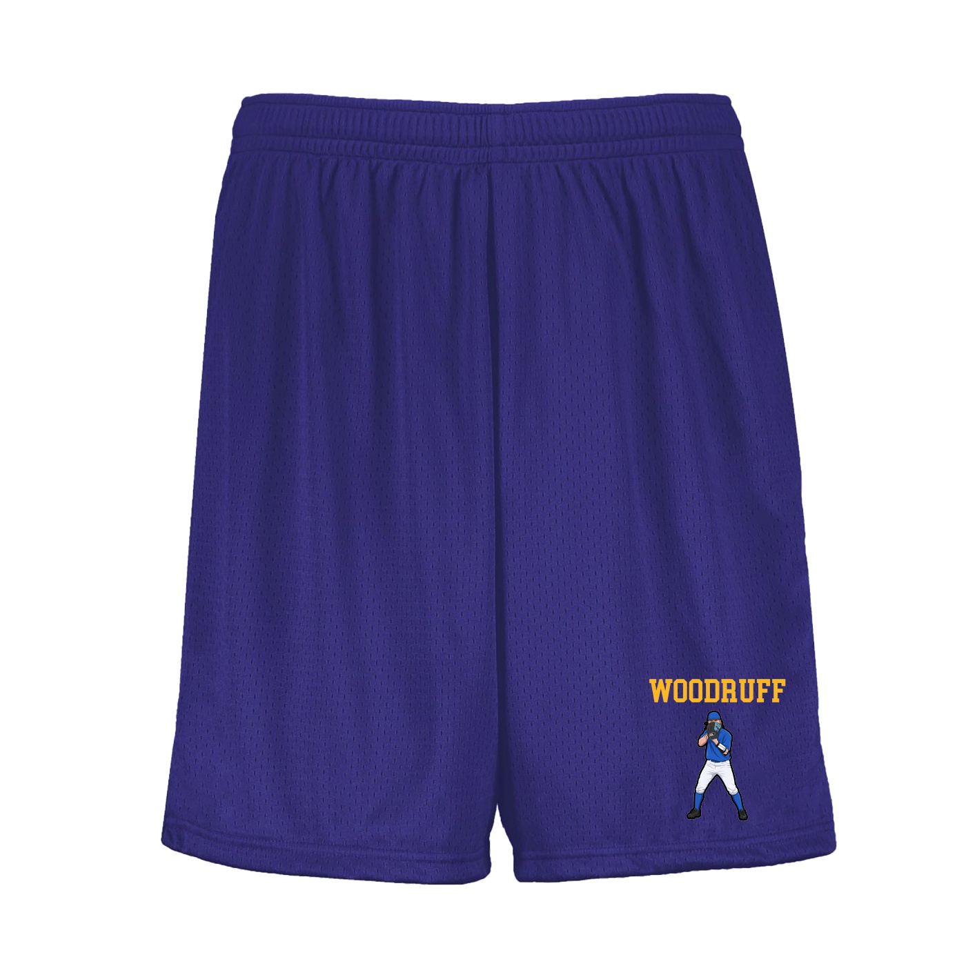 Shorts — Shirsey in Purple