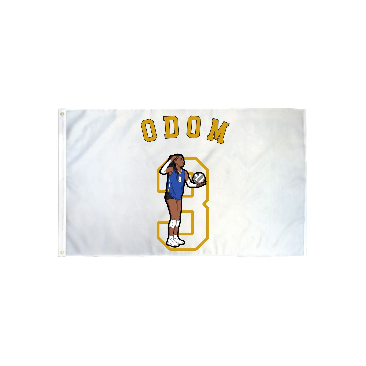 3x5 Flag — Shirsey Arch in Classic