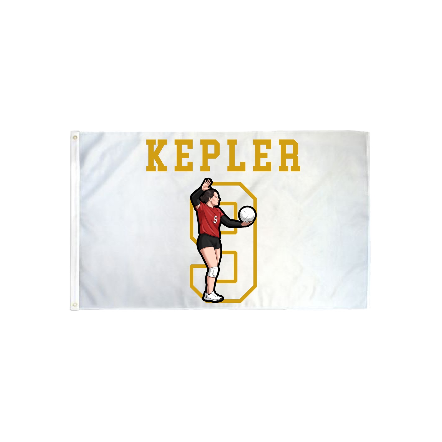 3x5 Flag — Shirsey in Classic