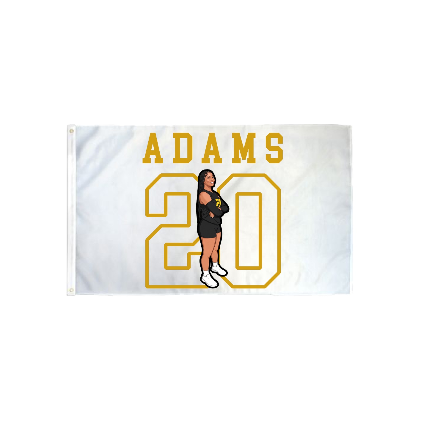 3x5 Flag — Shirsey in Classic
