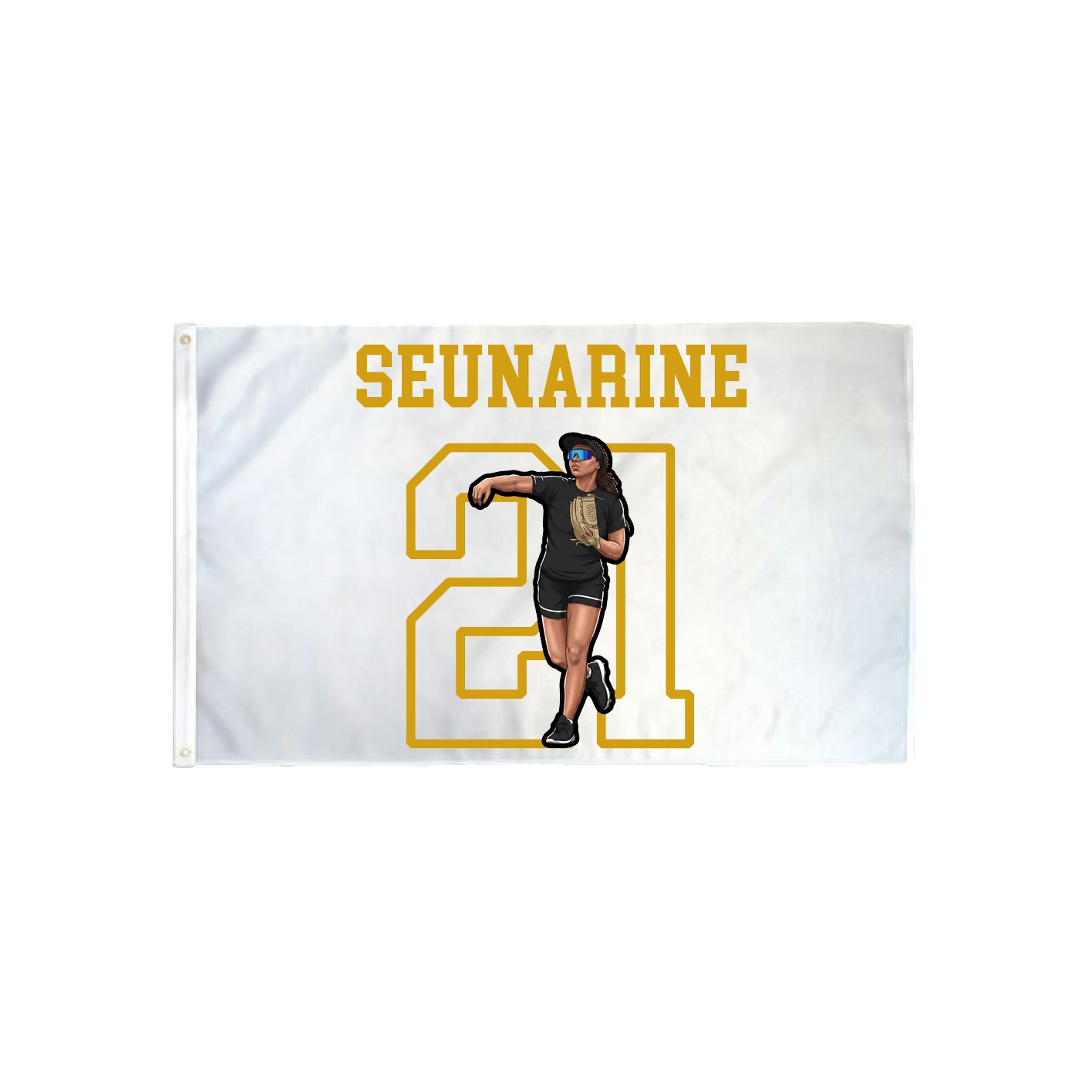 3x5 Flag — Shirsey in Classic