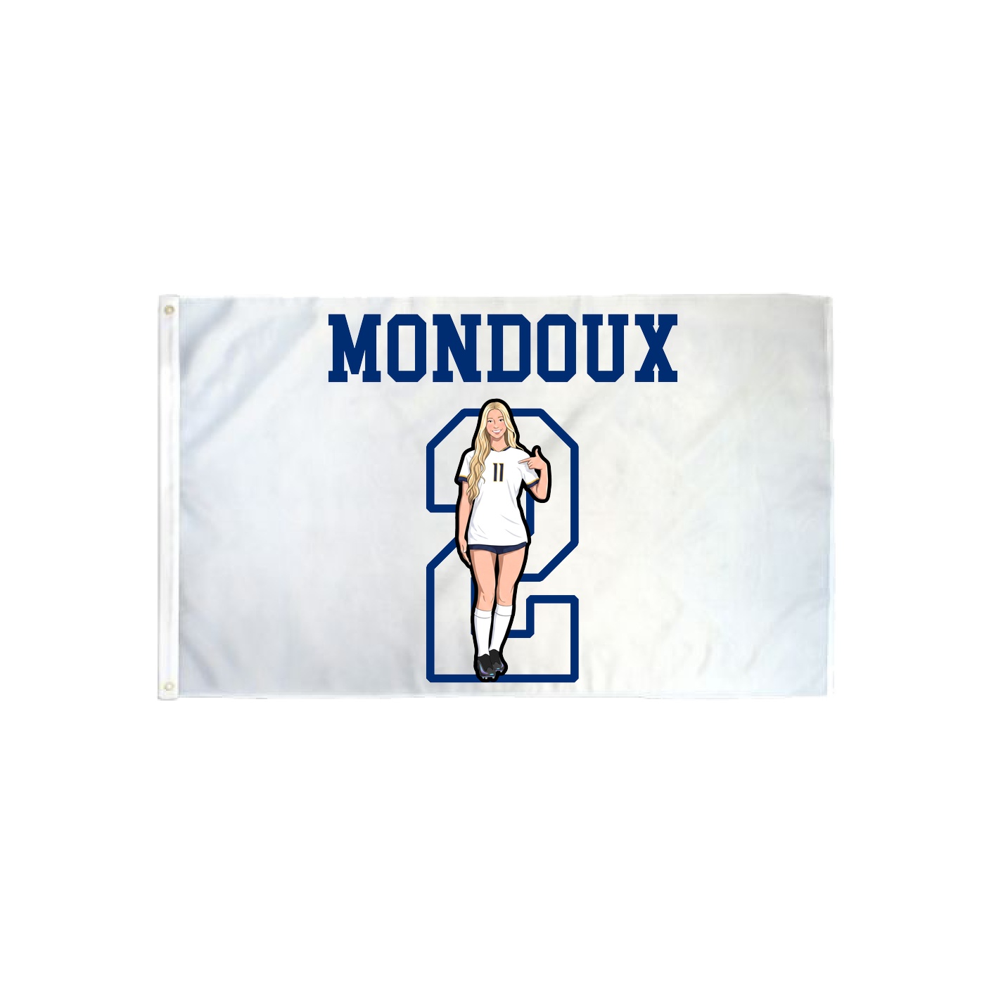 3x5 Flag — Shirsey in Classic