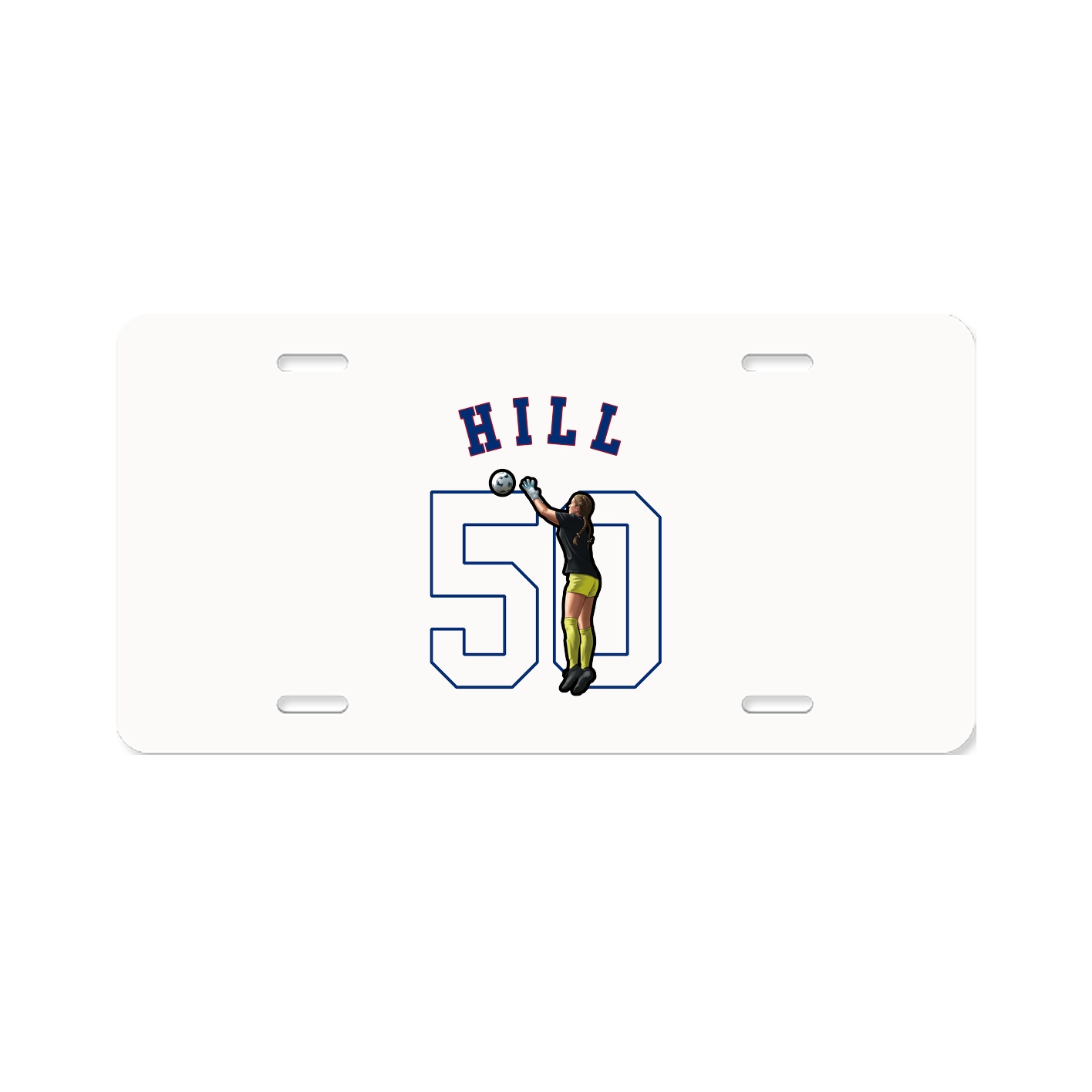 Aluminum License Plate