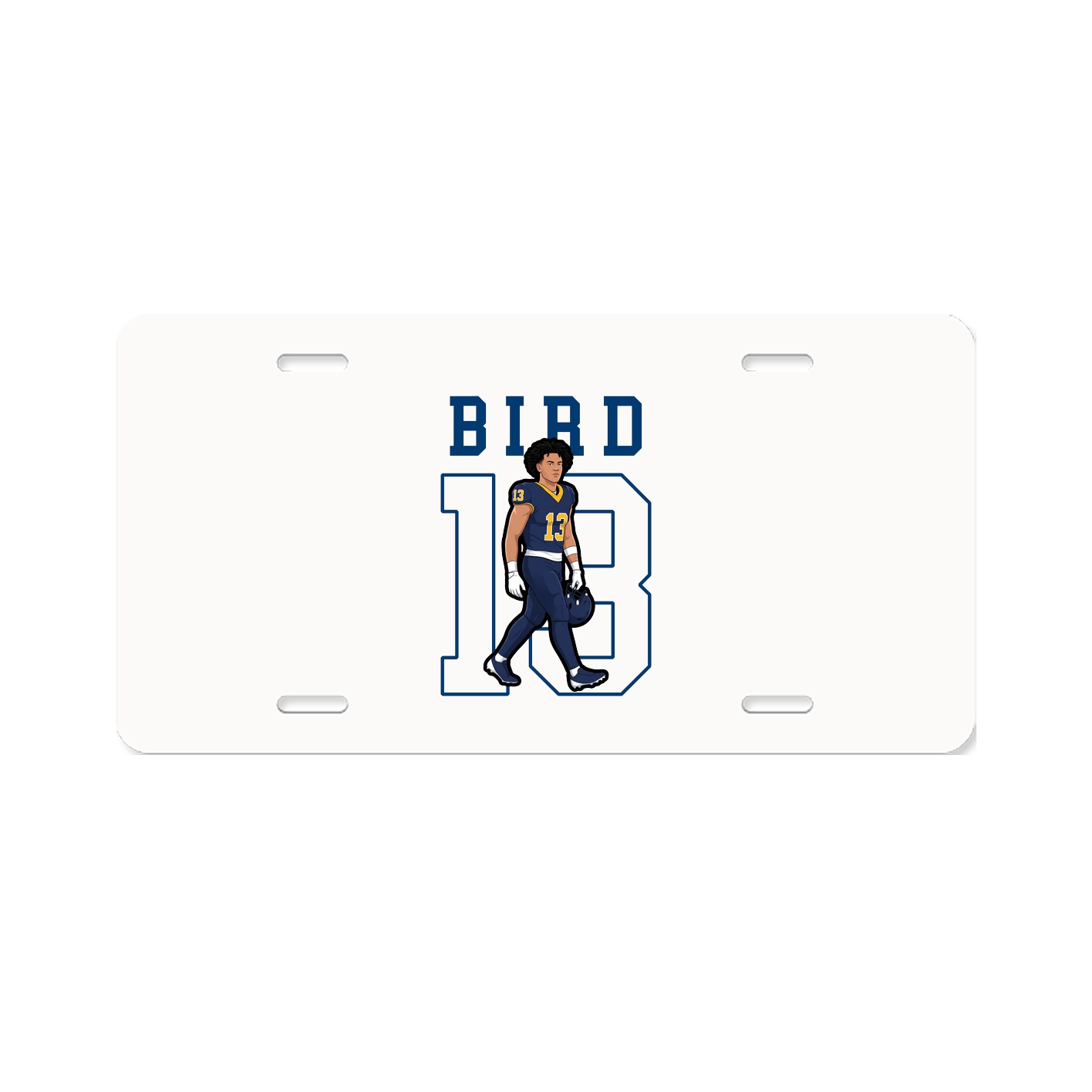 Aluminum License Plate