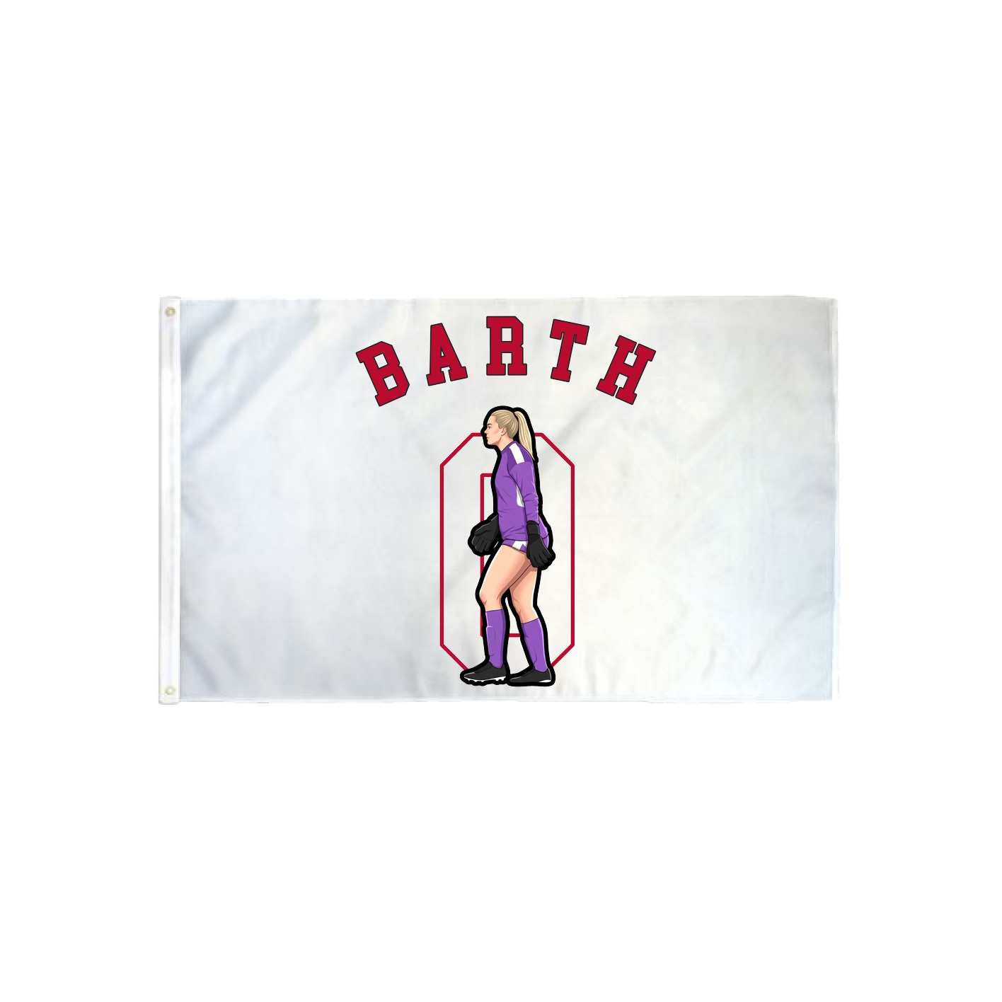 3x5 Flag — Shirsey Arch in Classic