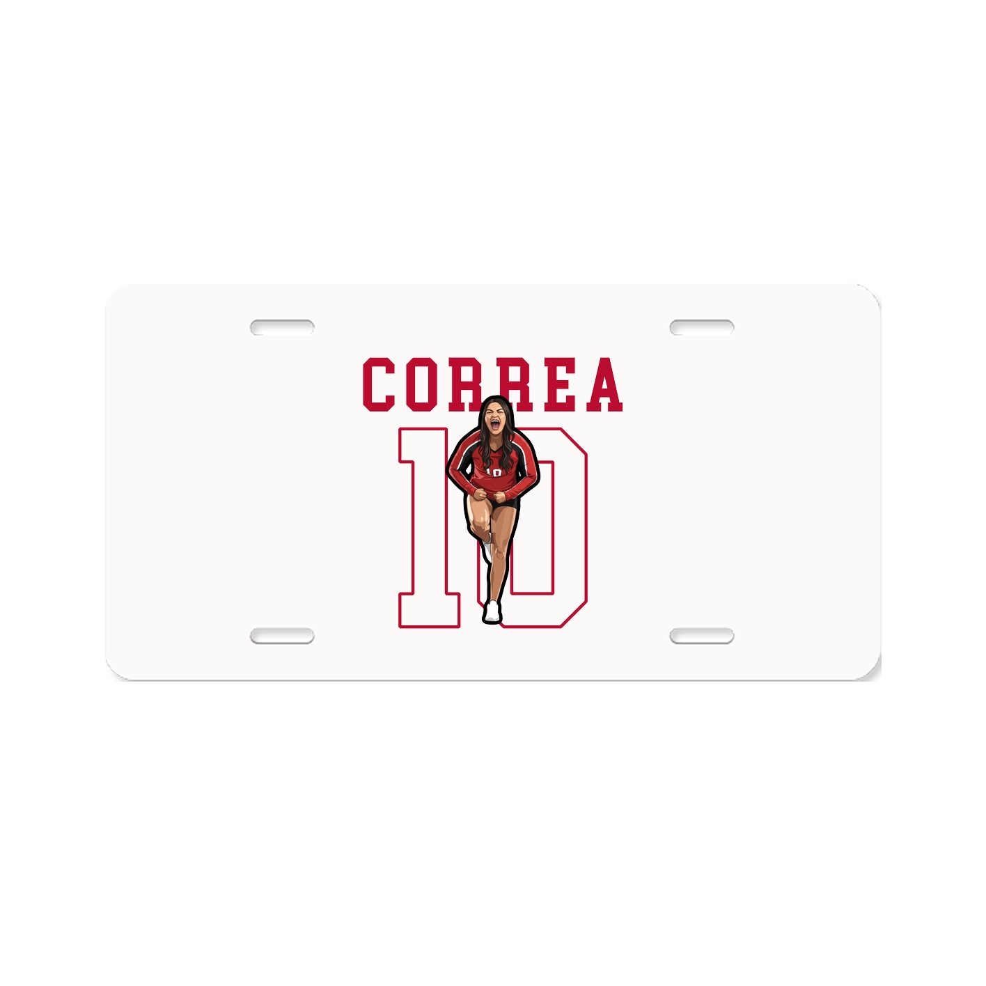 License Plate